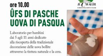 immagine dell'articolo