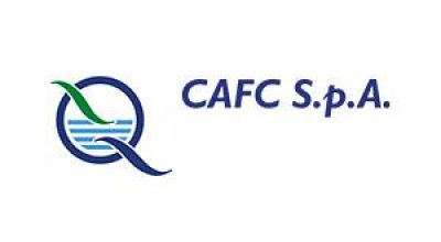 immagine dell'articolo