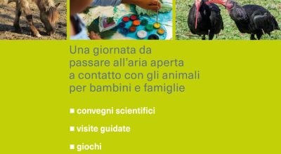 immagine dell'articolo