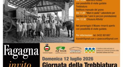 immagine dell'articolo