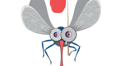 immagine dell'articolo