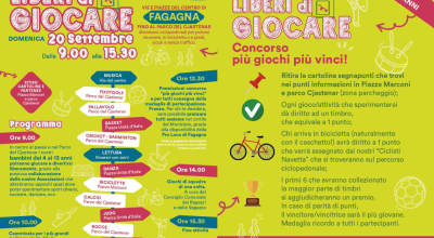 immagine dell'articolo