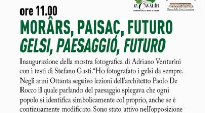 immagine dell'articolo