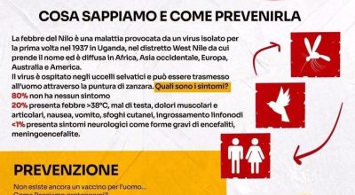 immagine dell'articolo