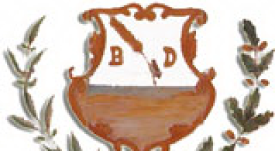 immagine dell'articolo