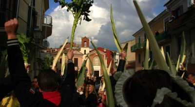 immagine dell'articolo