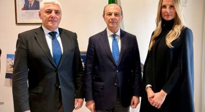 immagine dell'articolo