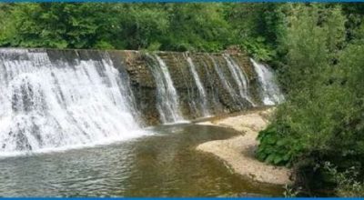 immagine dell'articolo