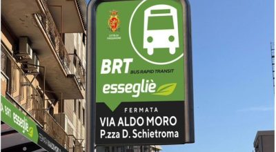 immagine dell'articolo