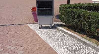 immagine dell'articolo