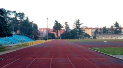 immagine dell'articolo