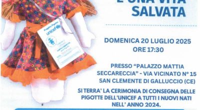 immagine dell'articolo