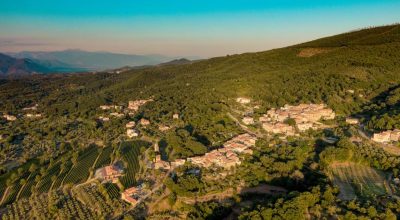 immagine dell'articolo