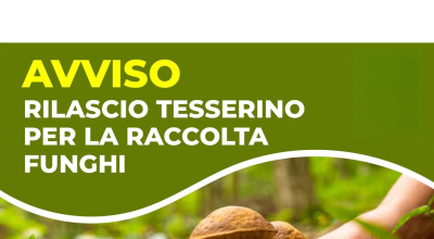 immagine dell'articolo