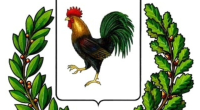 immagine dell'articolo