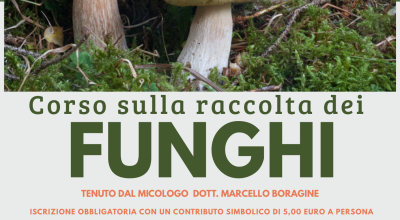 immagine dell'articolo