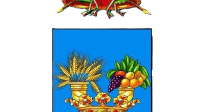 immagine dell'articolo