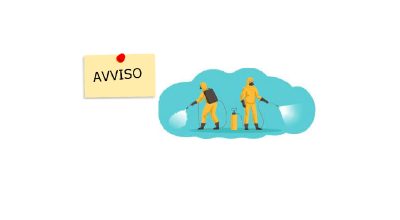 immagine dell'articolo
