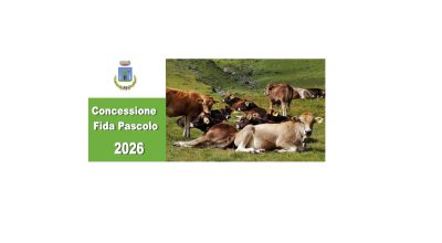 immagine dell'articolo