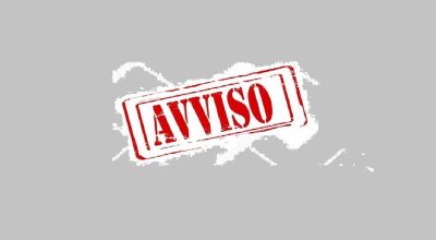 immagine dell'articolo