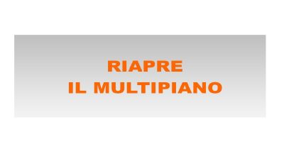 immagine dell'articolo