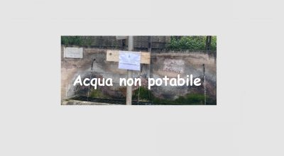 immagine dell'articolo