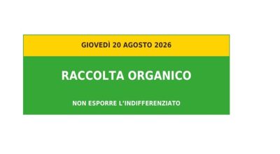 immagine dell'articolo