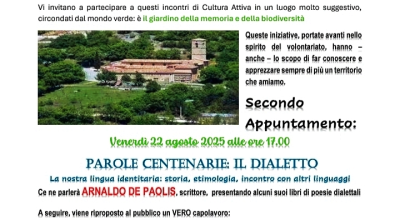 immagine dell'articolo