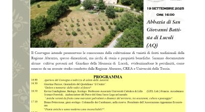 immagine dell'articolo