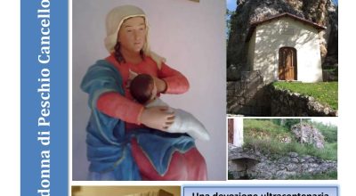 immagine dell'articolo