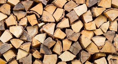 immagine dell'articolo