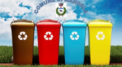 immagine dell'articolo