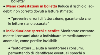 immagine dell'articolo