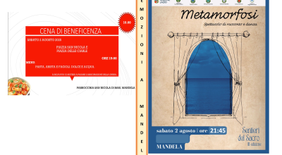 immagine dell'articolo