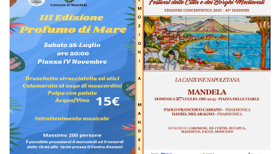 immagine dell'articolo
