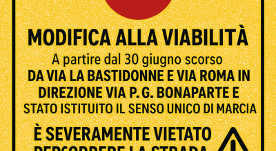 immagine dell'articolo