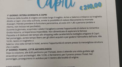 immagine dell'articolo