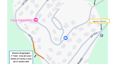 immagine dell'articolo