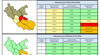 immagine dell'articolo