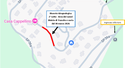 immagine dell'articolo