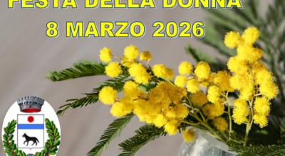 immagine dell'articolo