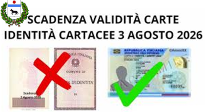 immagine dell'articolo