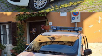 immagine dell'articolo