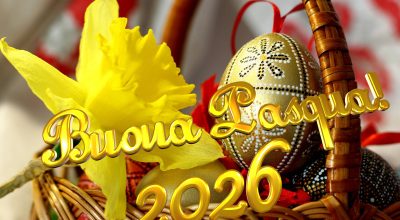 immagine dell'articolo