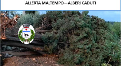 immagine dell'articolo