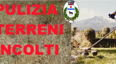 immagine dell'articolo