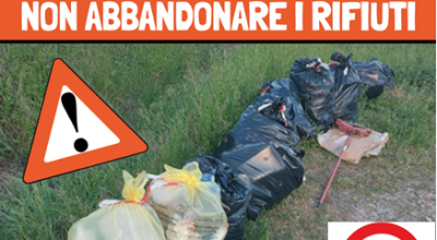 immagine dell'articolo