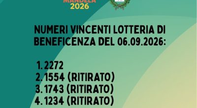 immagine dell'articolo
