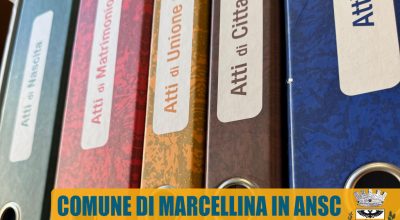 immagine dell'articolo