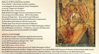 immagine dell'articolo